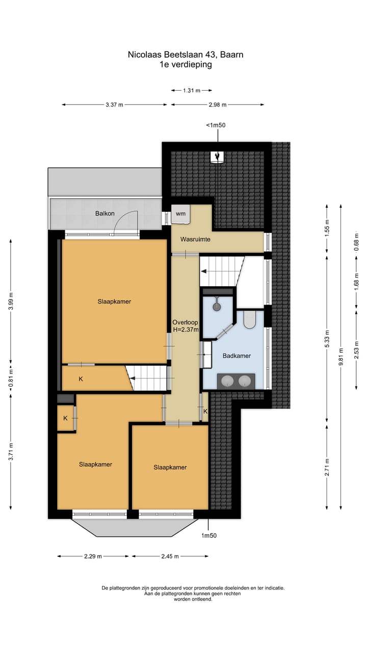 Foto 32 van Nicolaas Beetslaan 43