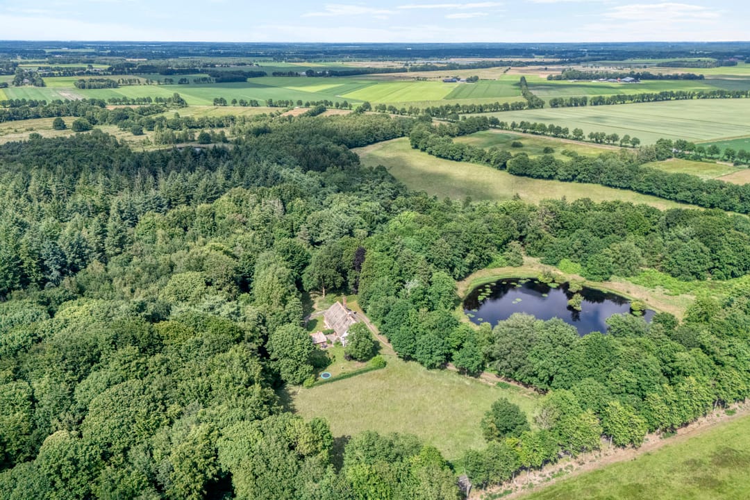 Foto 2 van Hamveld 3