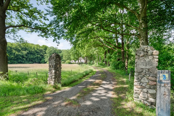 Foto 7 van Hamveld 3