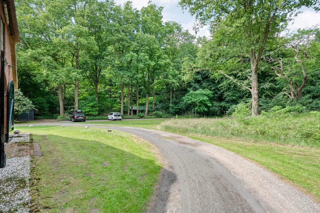 Foto 8 van Hamveld 3