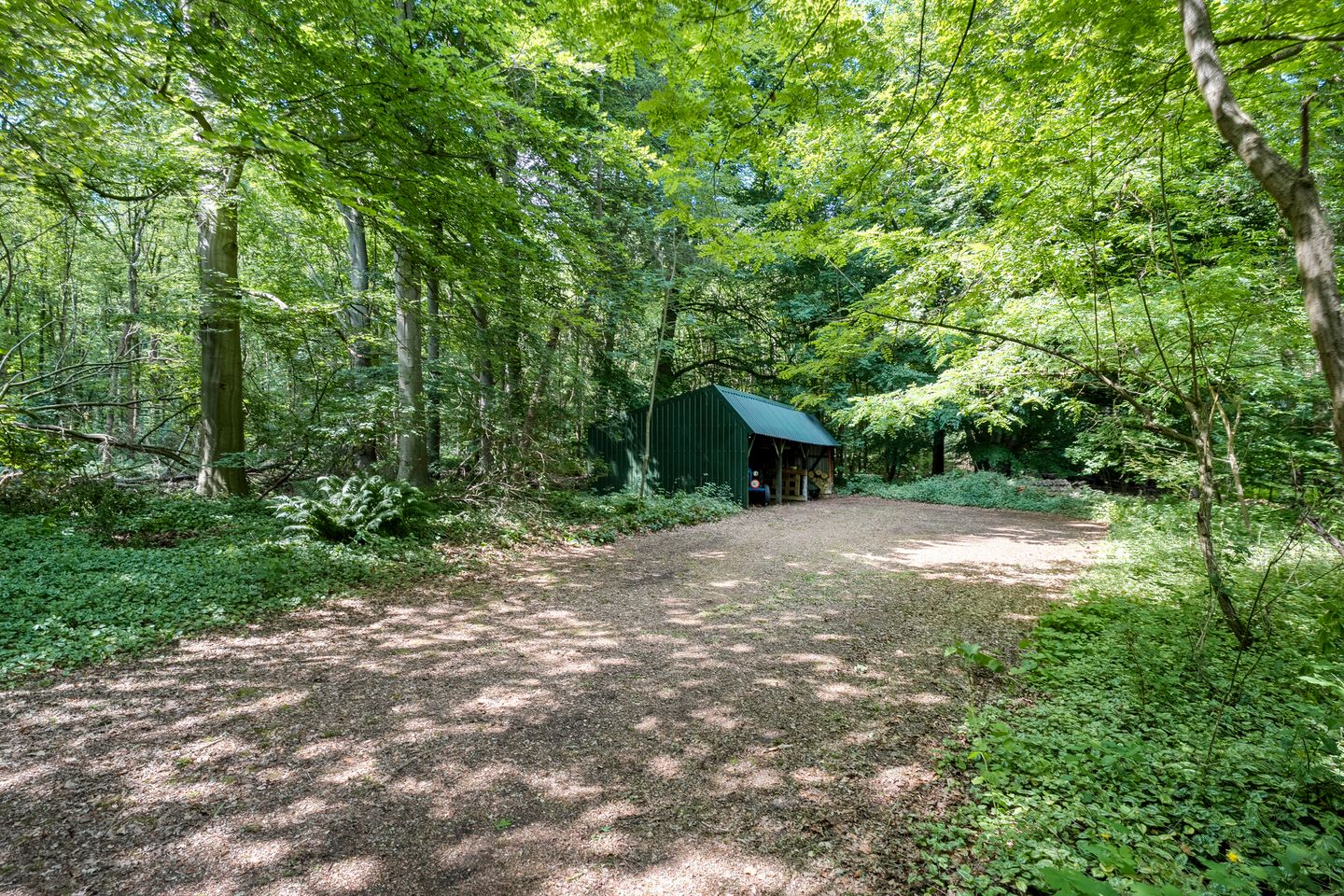 Foto 65 van Hamveld 3