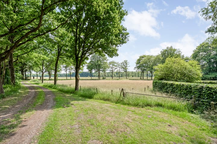 Foto 67 van Hamveld 3