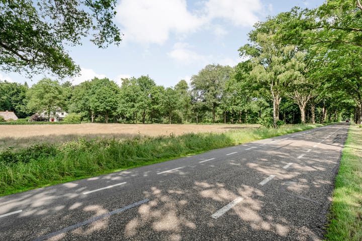 Foto 73 van Hamveld 3