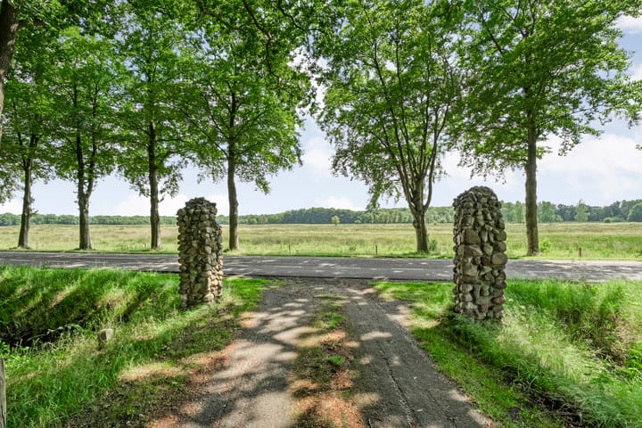 Foto 74 van Hamveld 3