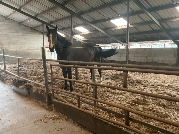 Foto 28 van Kappersweg 8