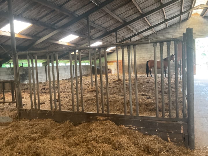 Foto 29 van Kappersweg 8