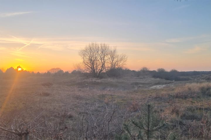 Foto 89 van Van Bergenlaan 3-A