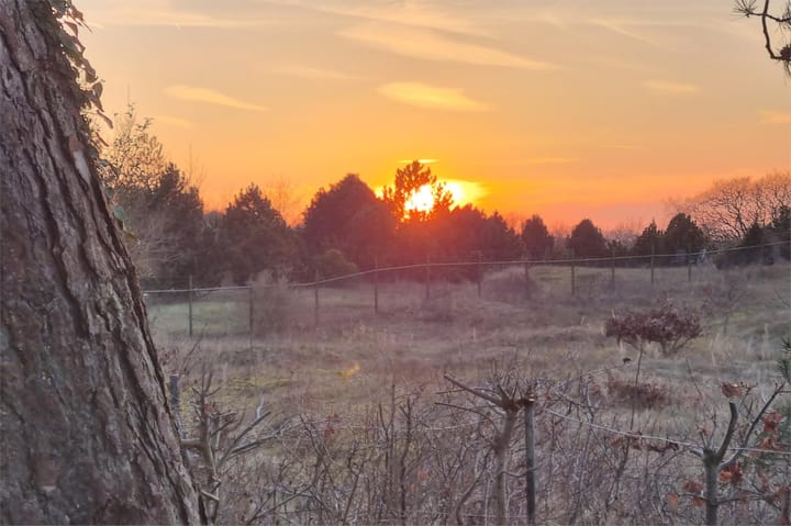 Foto 90 van Van Bergenlaan 3-A