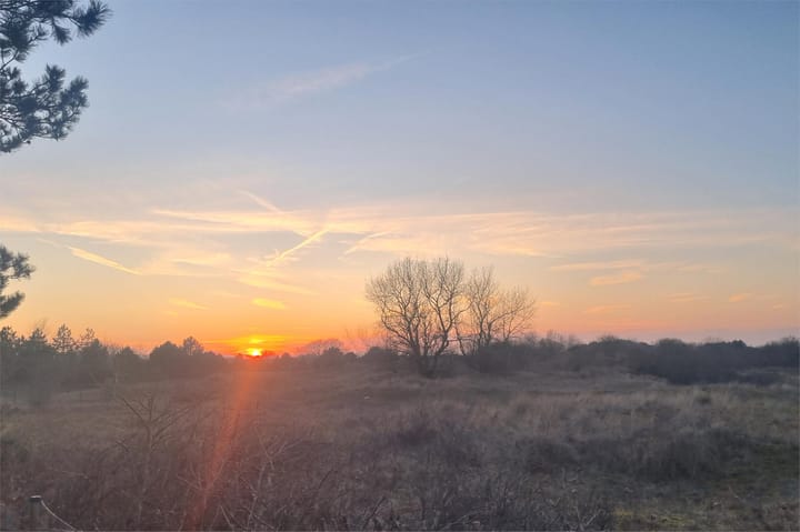 Foto 91 van Van Bergenlaan 3-A