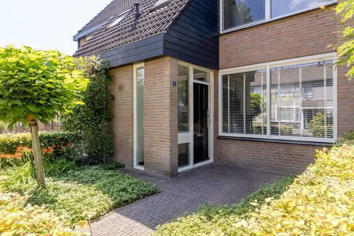 Foto 6 van de Zeilen 4