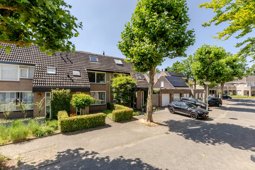 Foto 41 van de Zeilen 4