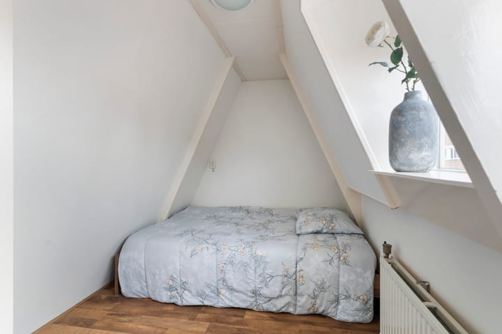 Foto 42 van Reinier de Graafstraat 3