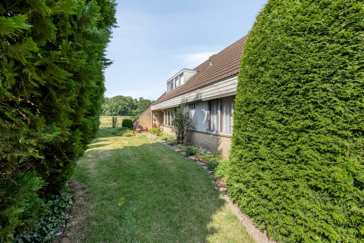 Foto 25 van Pastoor Rientjesstraat 51