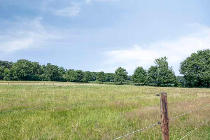 Foto 31 van Pastoor Rientjesstraat 51