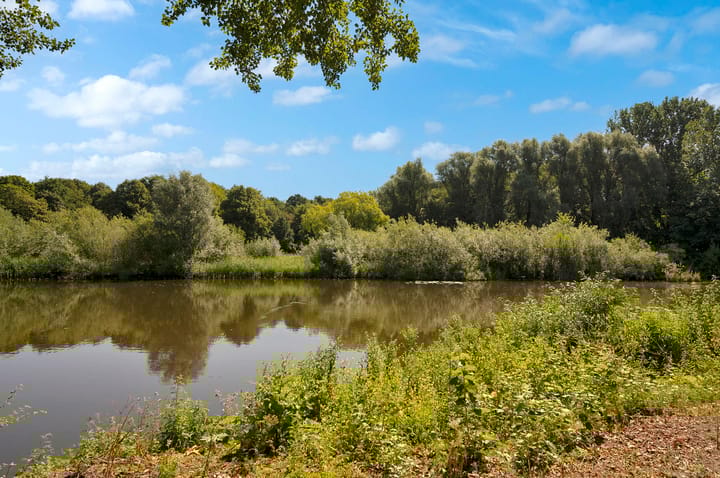 Foto 26 van Oeverpad 161