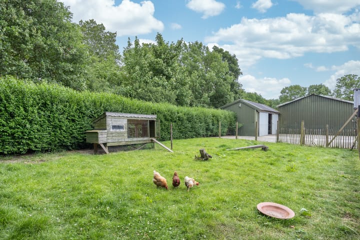 Photo 43 of Lange Leane 3