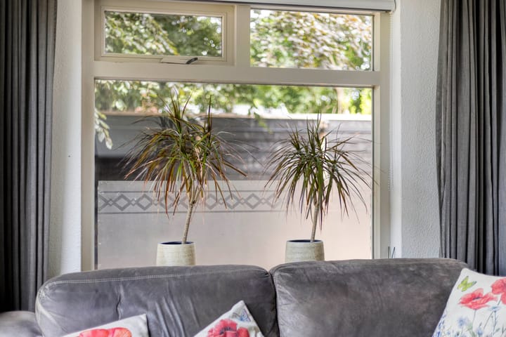 Foto 8 van Oudeweg 113