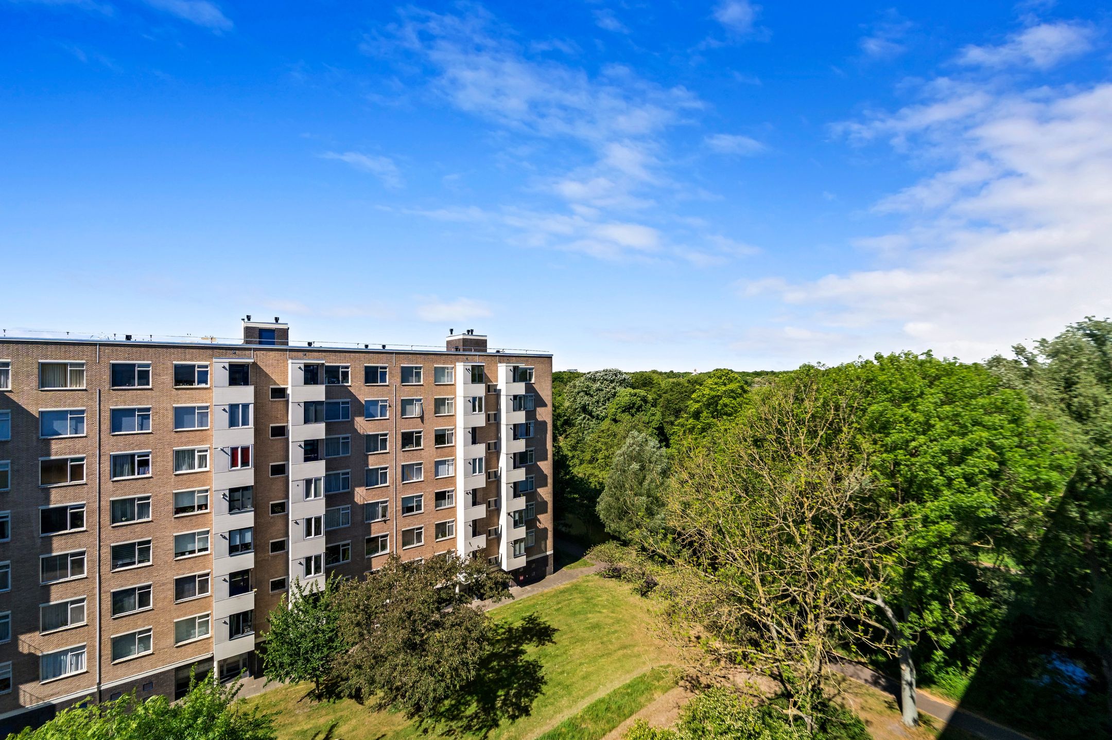 Foto 9 van Vlaskamp 224