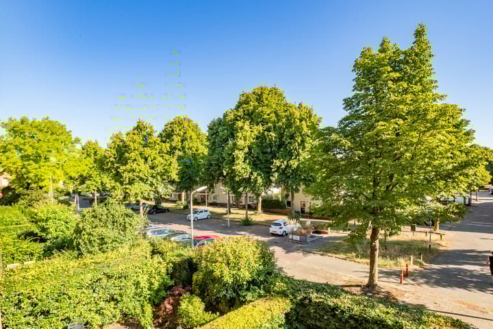 Foto 21 van Graaf Willemlaan 156