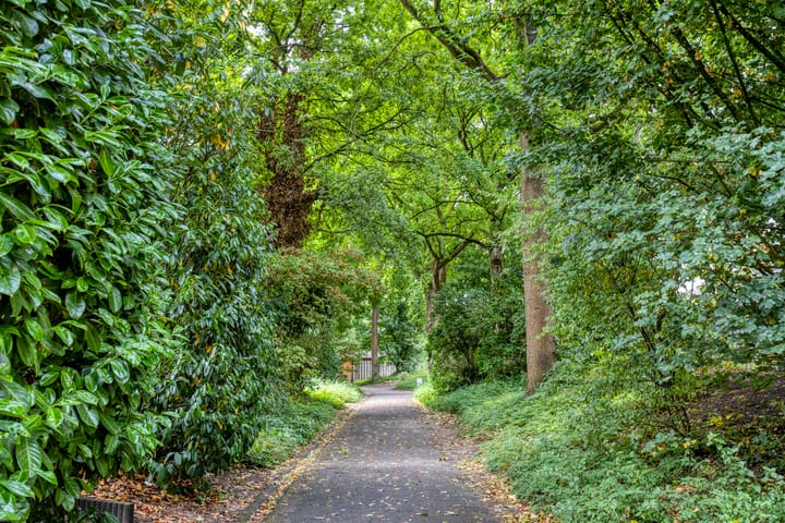 Photo 42 of Merelhof 4