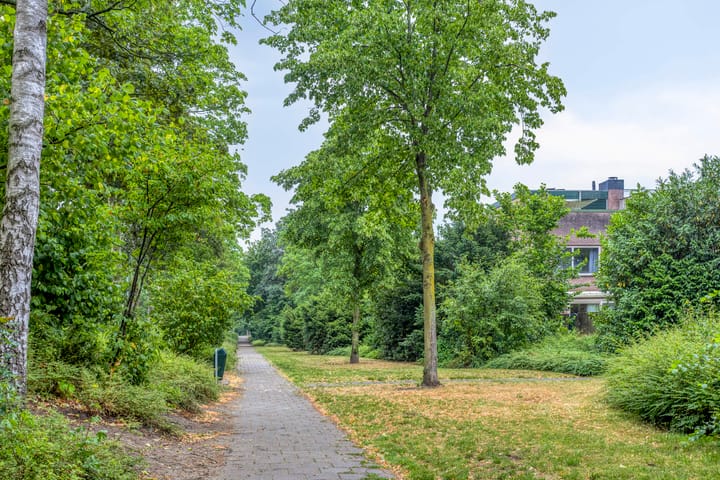 Photo 41 of Merelhof 4