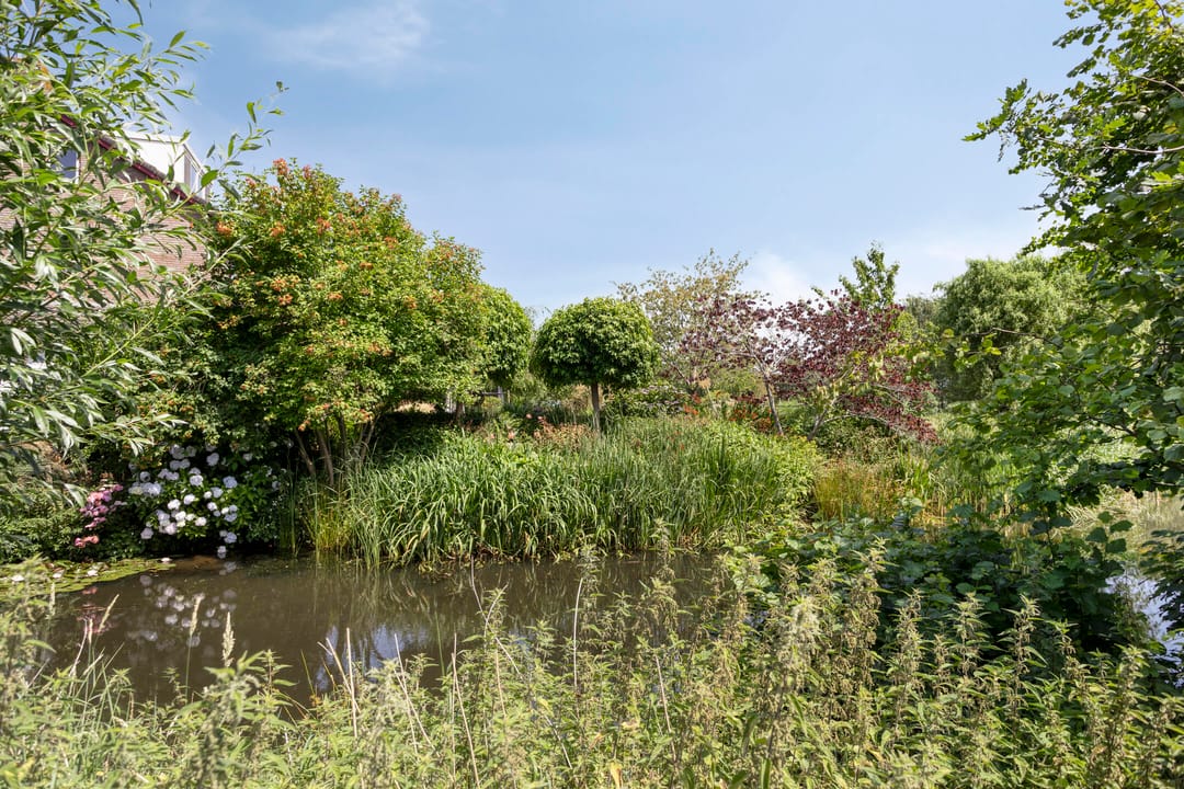 Foto 22 van Scherpenakker 29