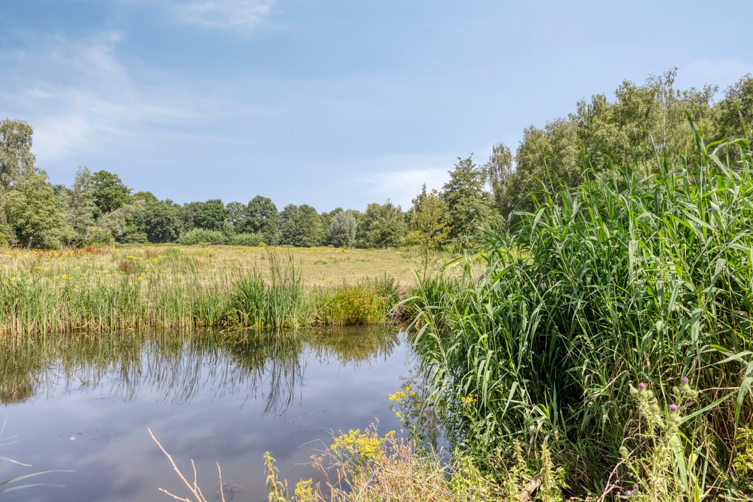 Foto 23 van Scherpenakker 29