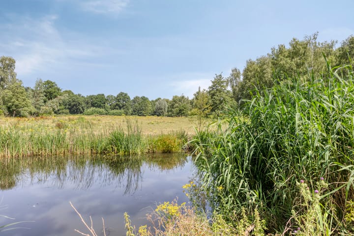 Foto 23 van Scherpenakker 29