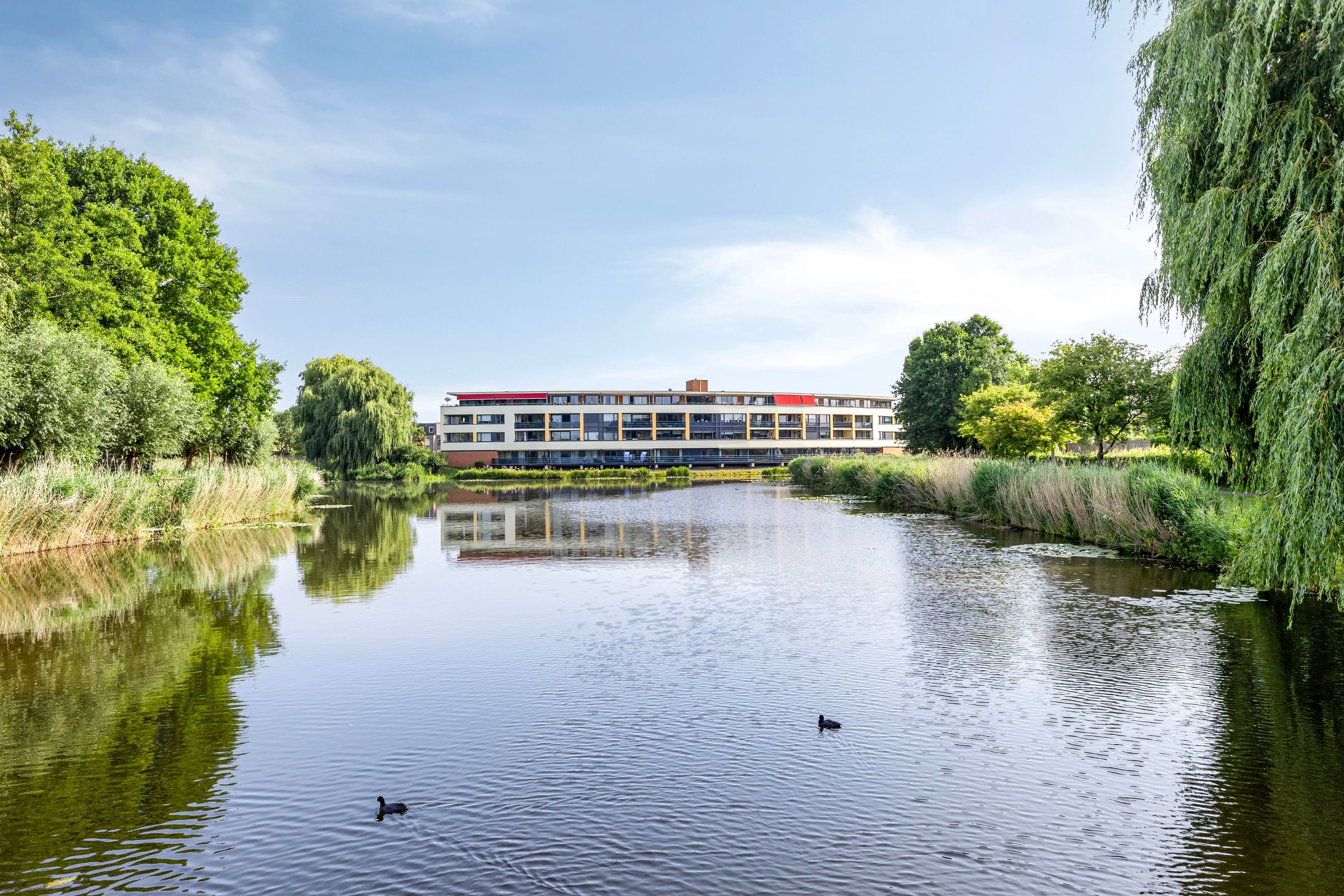 Photo 30 of Marsmanplein 25