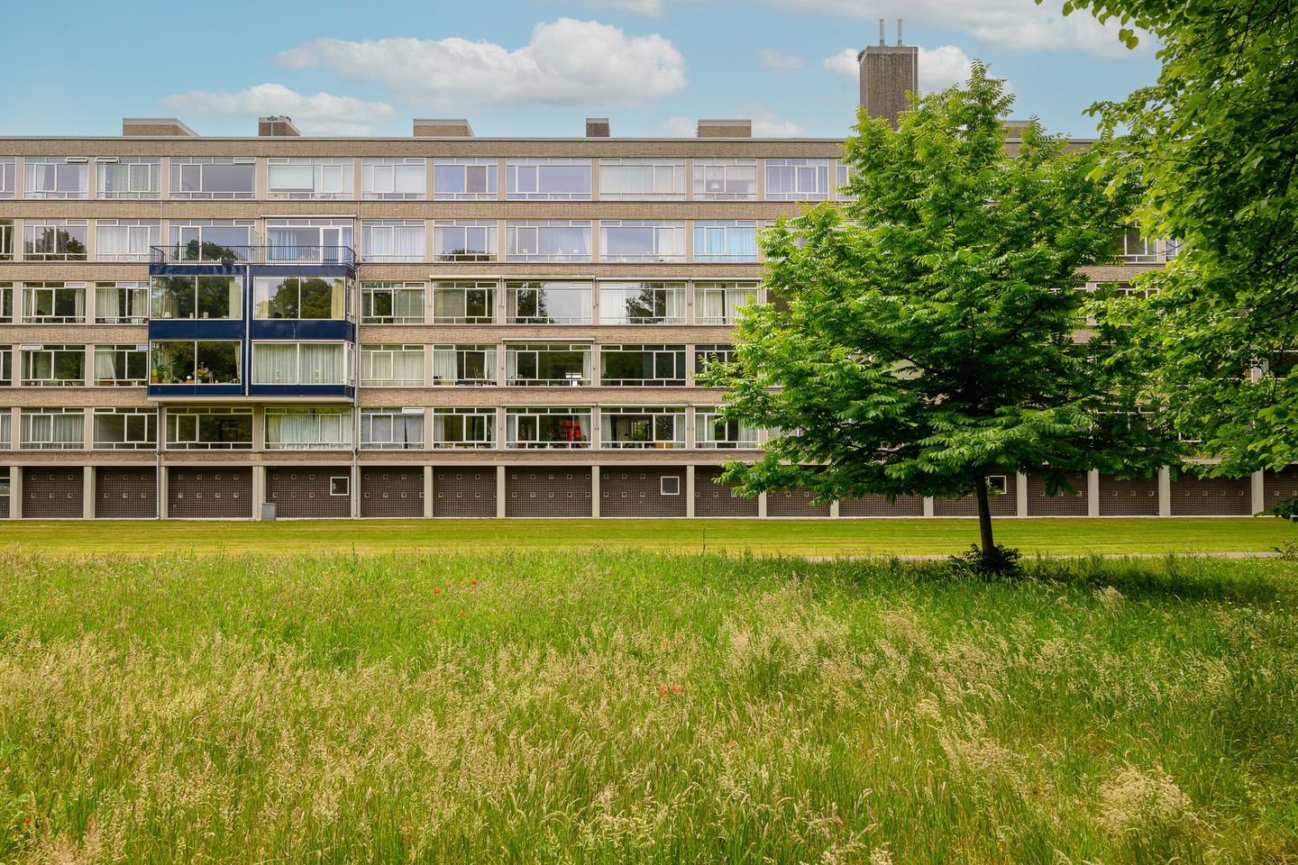 Foto 1 van Smaragdhorst 100