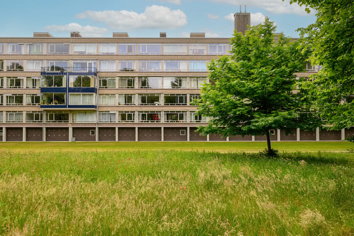 Foto 1 van Smaragdhorst 100