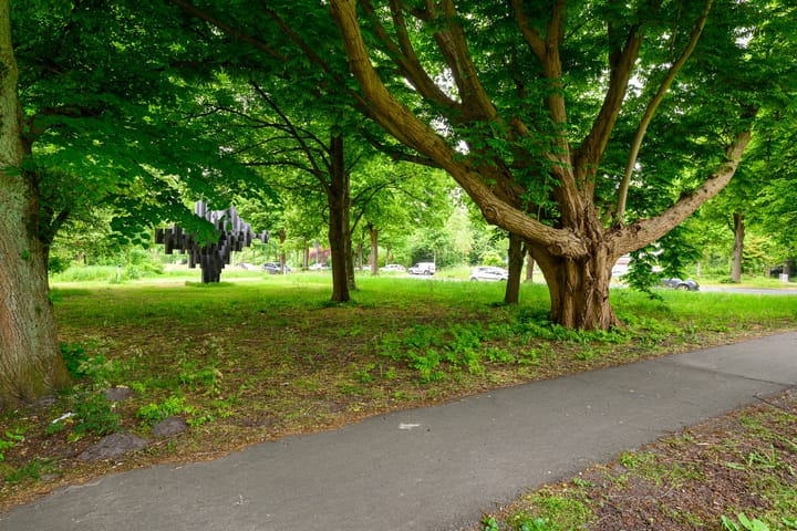 Foto 4 van Smaragdhorst 100