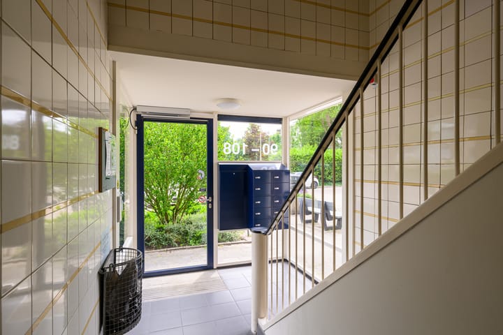 Foto 7 van Smaragdhorst 100