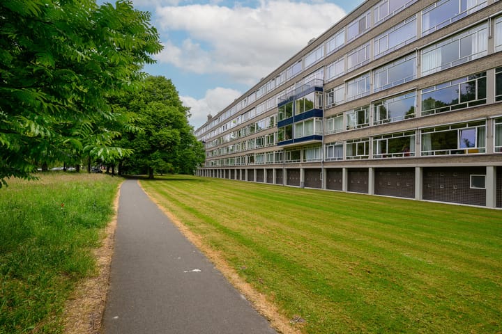 Foto 19 van Smaragdhorst 100