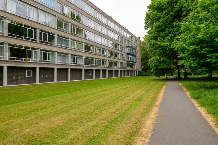 Foto 20 van Smaragdhorst 100