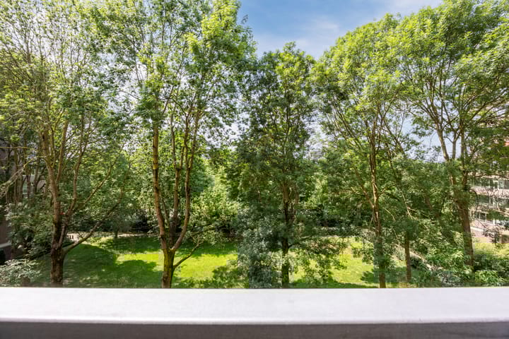 Foto 30 van Venuslaan 319