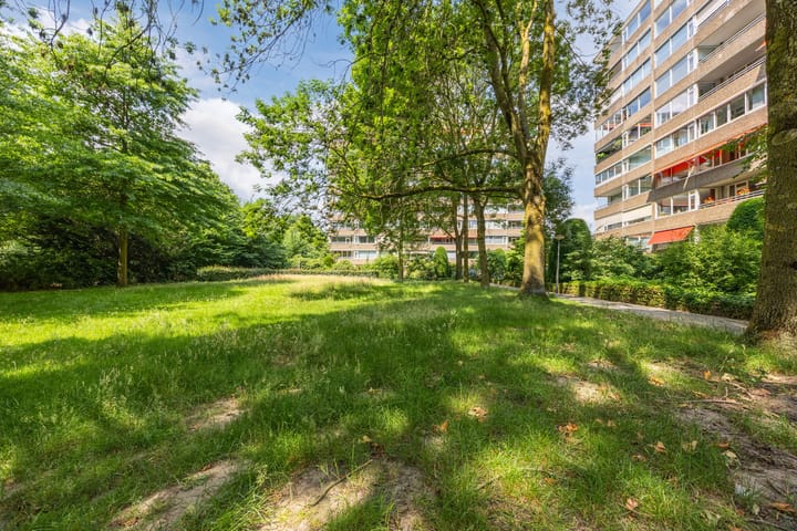 Foto 33 van Venuslaan 319