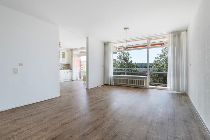 Foto 11 van Peter van Anrooylaan 232