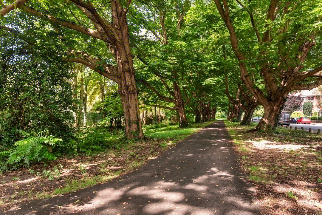 Foto 7 van Offenberglaan 1-46