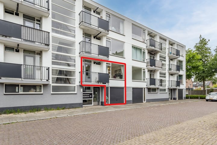 undefined main image