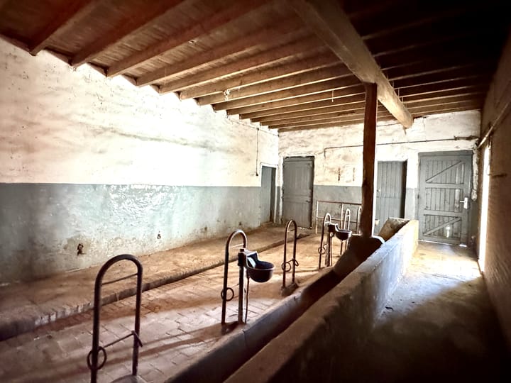 Foto 11 van Dorpsstraat 47