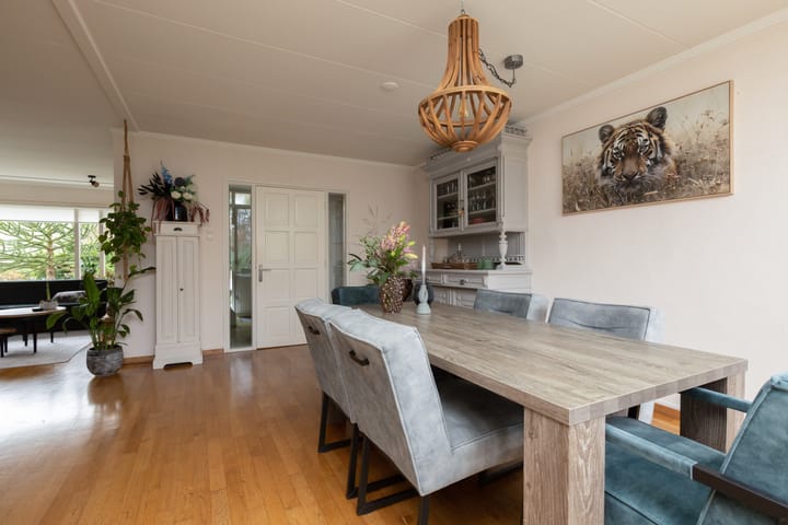 Foto 12 van De Terpen 9