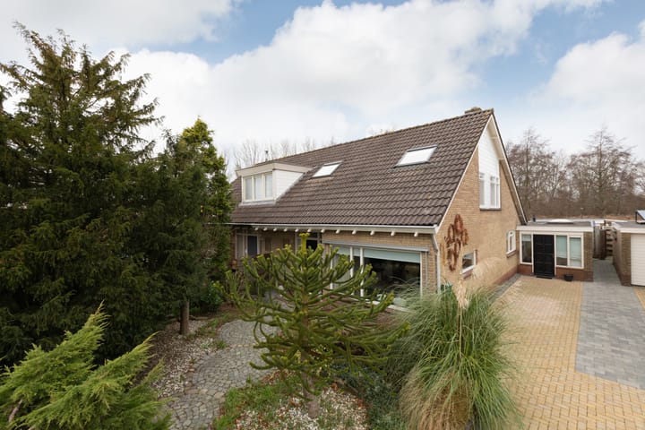 Foto 4 van De Terpen 9