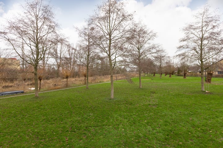 Foto 42 van De Terpen 9