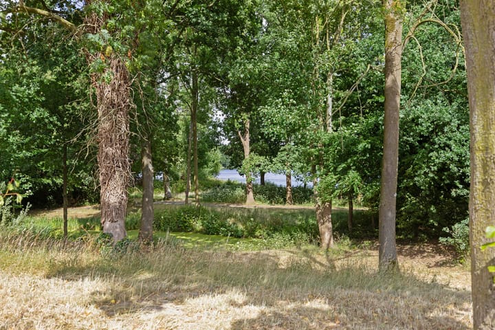 Foto 3 van Zoomweg 8