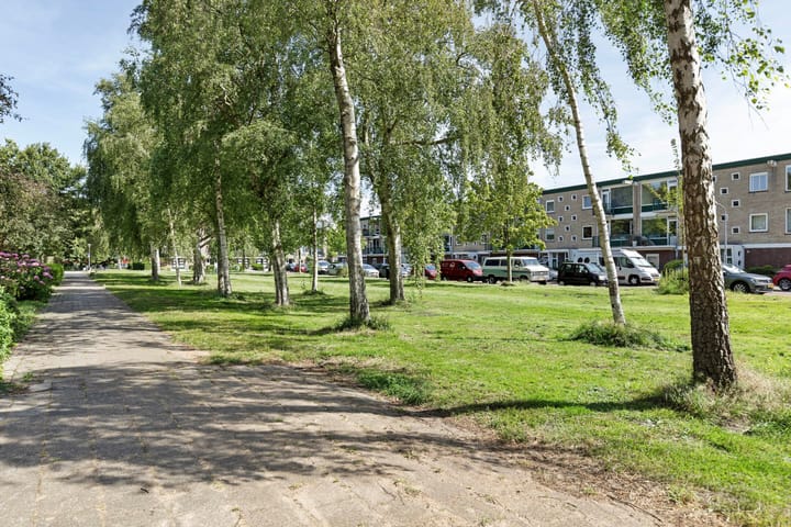 Foto 29 van Delftlaan 355