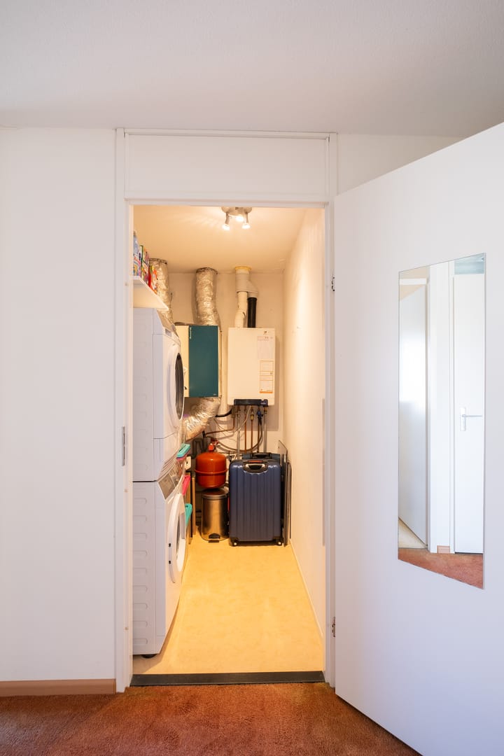 Foto 27 van Willemijn Posthumustuin 35