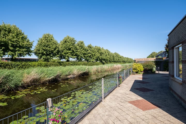 Foto 34 van Willemijn Posthumustuin 35