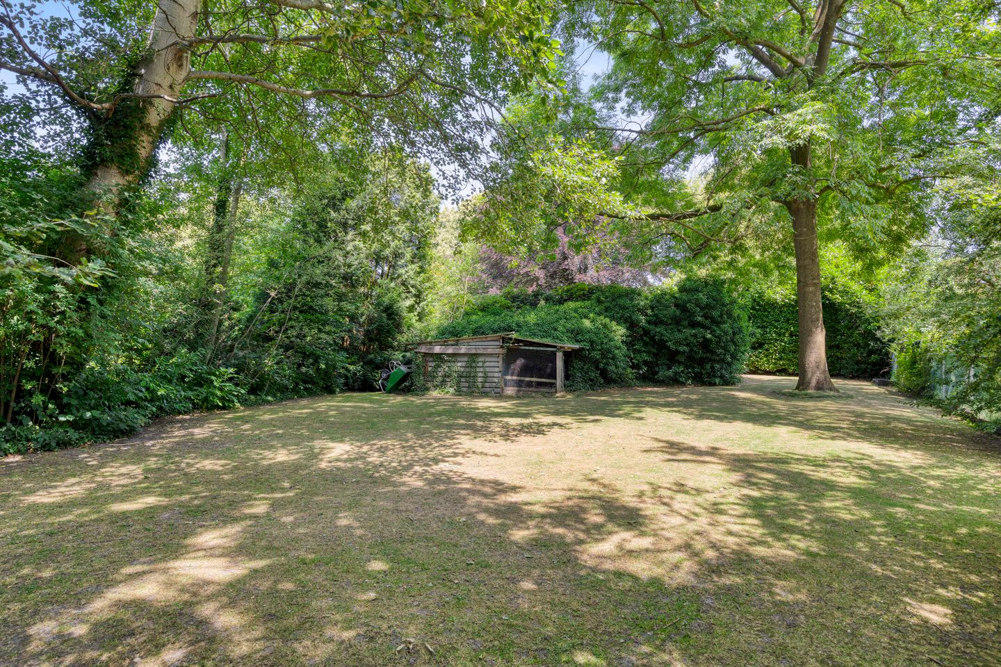 Foto 55 van Burgemeester van den Heuvelstraat 14