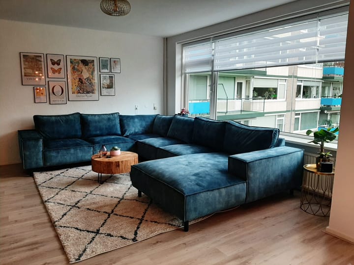 Foto 2 van Apollolaan 538